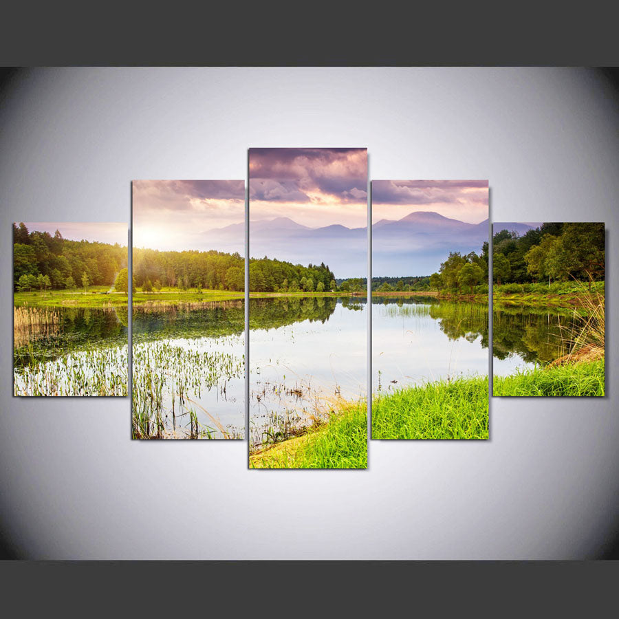 fashion wall Painting 5 Panel Art Paintings Nature Decoration Wall Paining Canvas Picture Cuadros For Living Room no frame