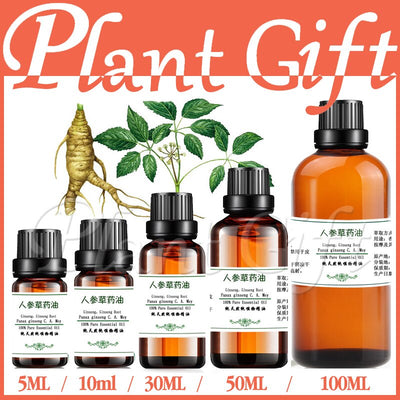 100% pure plant Herbal medicine oils Ginseng root herbal oil Essential oils traditional Chinese medicine oil