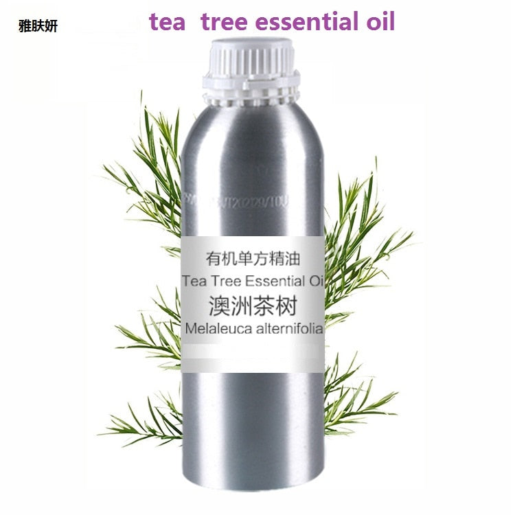 Cosmetics 50g/bottle Chinese herb Tea tree extract essential base oil, organic cold pressed Tea tree oil